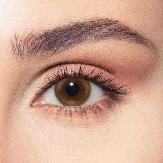 Laila Love, brown colors named Siren Bronze on Dark brown eyes